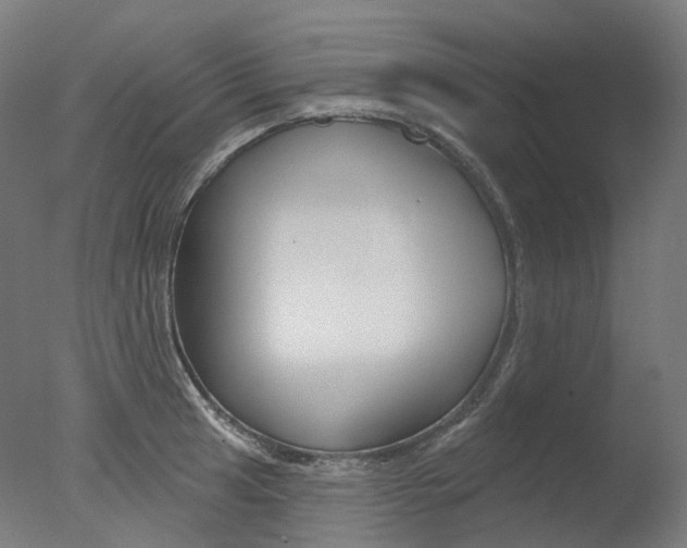 X0000077371041200610201009