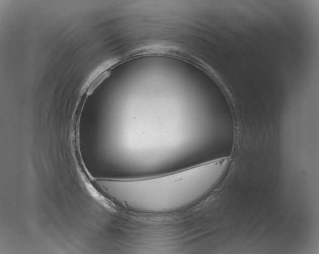 X0000077371042200610201009