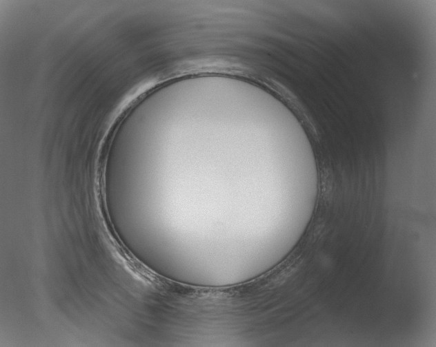 X0000077371043200610201009