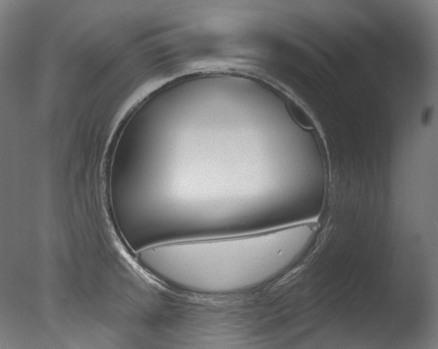 X0000077371045200610201009