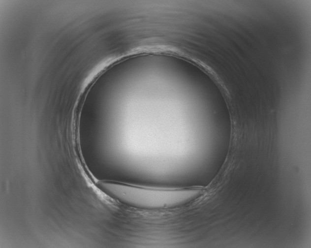 X0000077371046200610201009