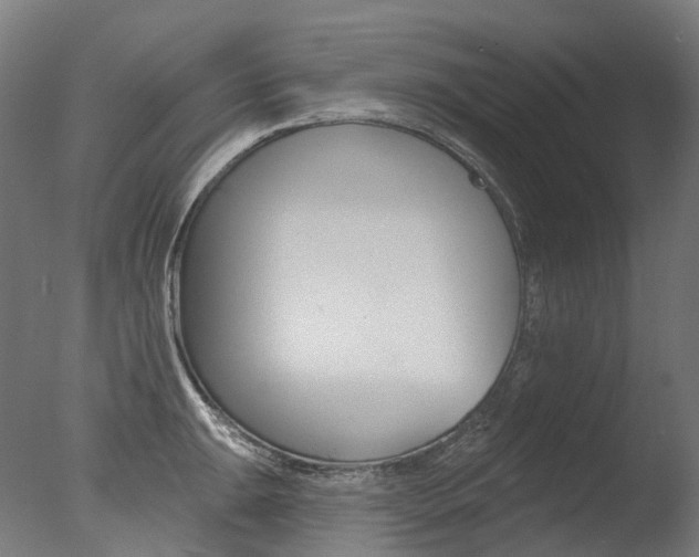 X0000077371047200610201009
