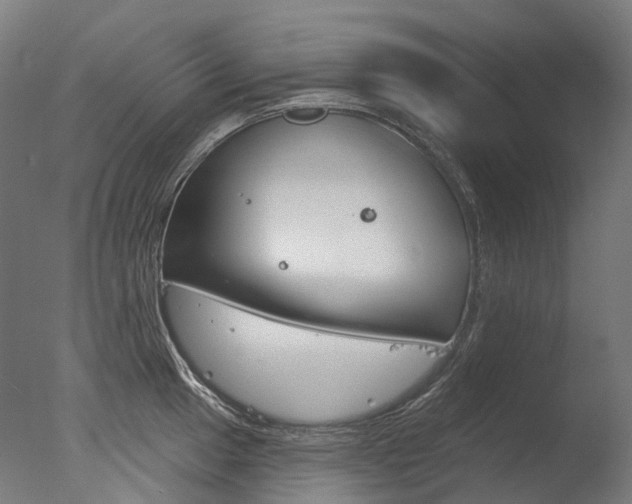 X0000077371049200610201009