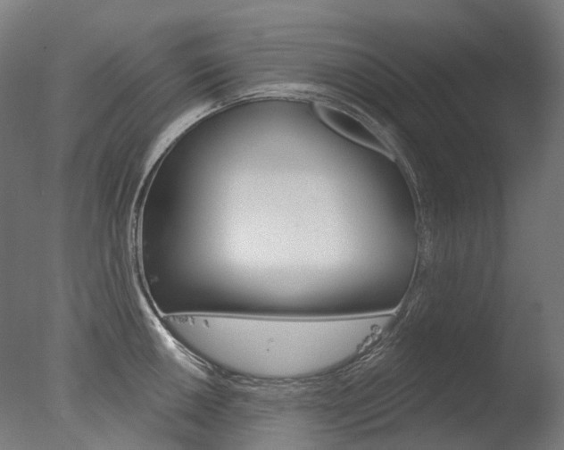 X0000077371050200610201009