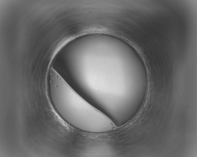 X0000077371056200610201009