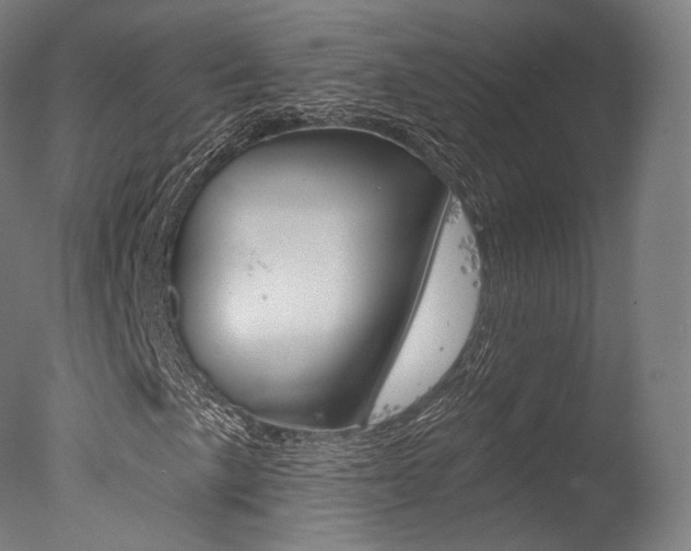 X0000077371057200610201008