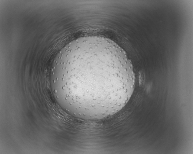X0000077371059200610201008