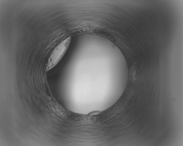 X0000077371060200610201008