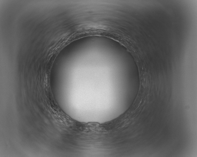 X0000077371061200610201008