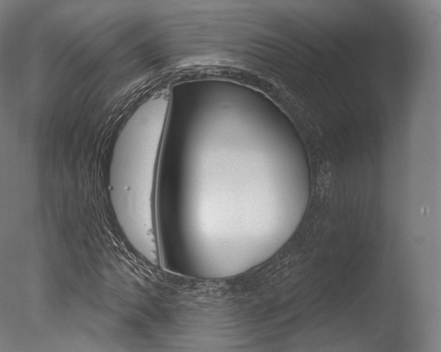 X0000077371062200610201008