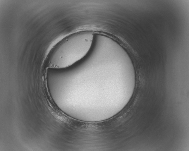 X0000077371070200610201008
