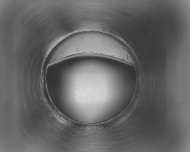 X0000077371077200610201008