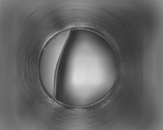 X0000077371081200610201008