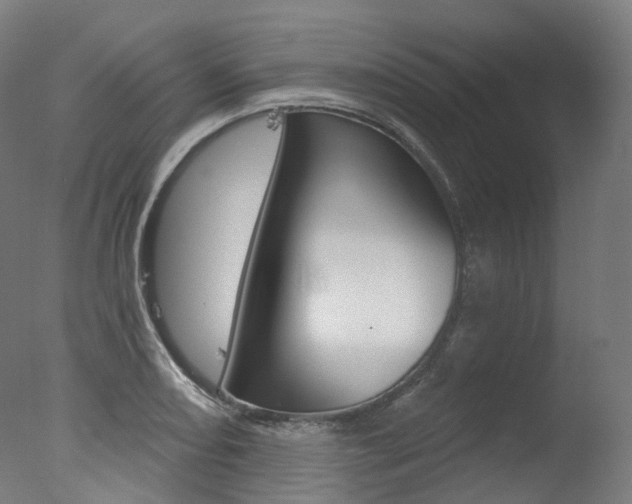 X0000077371082200610201008