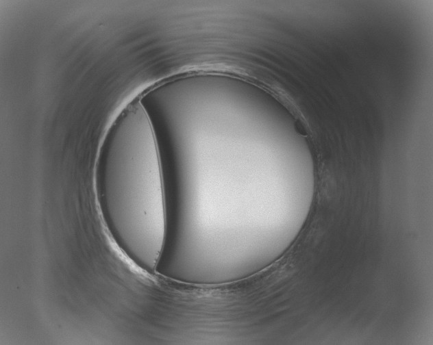 X0000077371084200610201008
