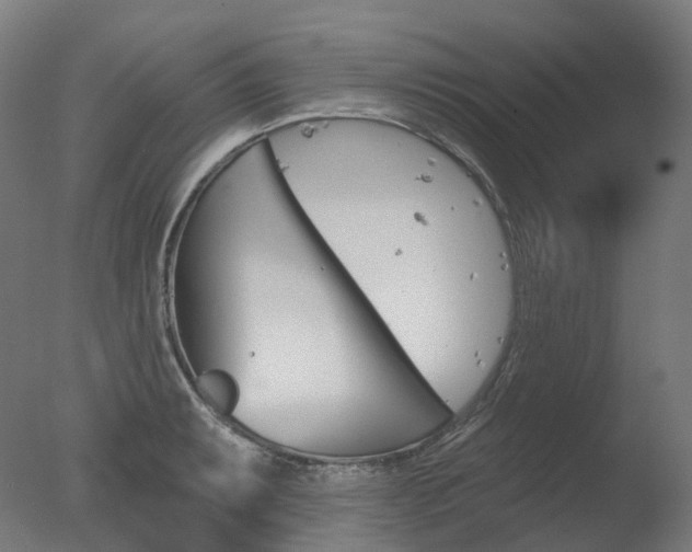 X0000077371087200610201008