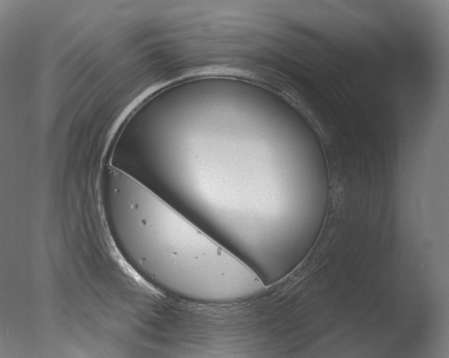 X0000077371092200610201008