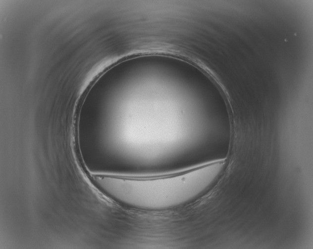 X0000077371093200610201008