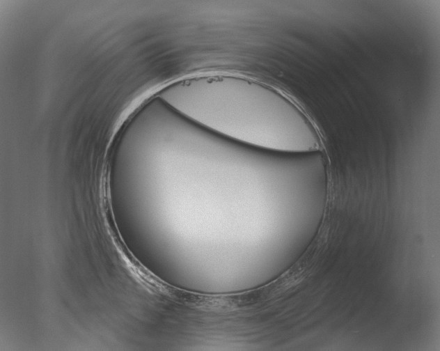 X0000077371101200610201008
