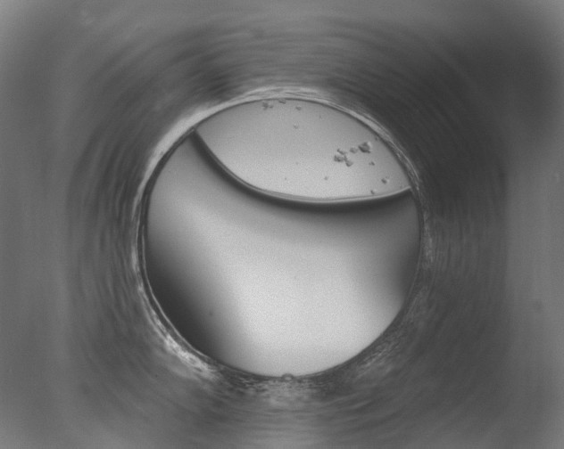 X0000077371102200610201008