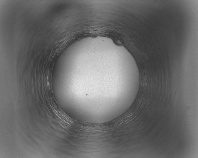 X0000077371106200610201007