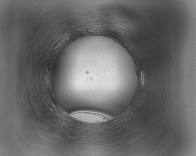 X0000077371107200610201007
