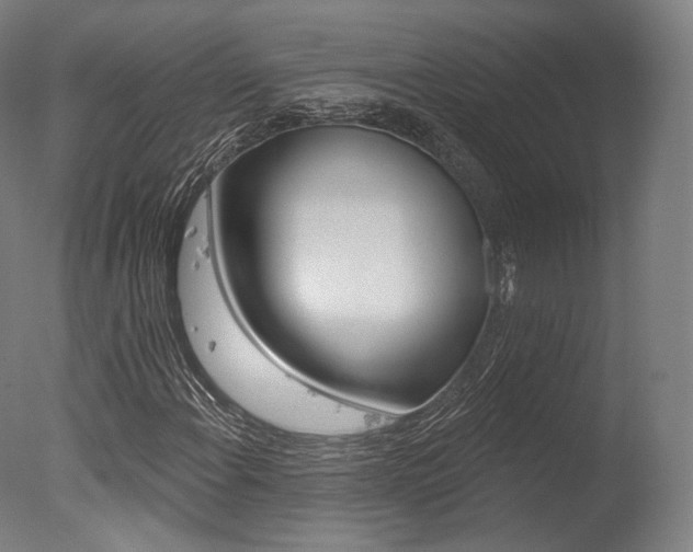 X0000077371108200610201007