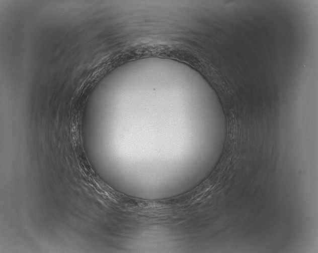 X0000077371109200610201007