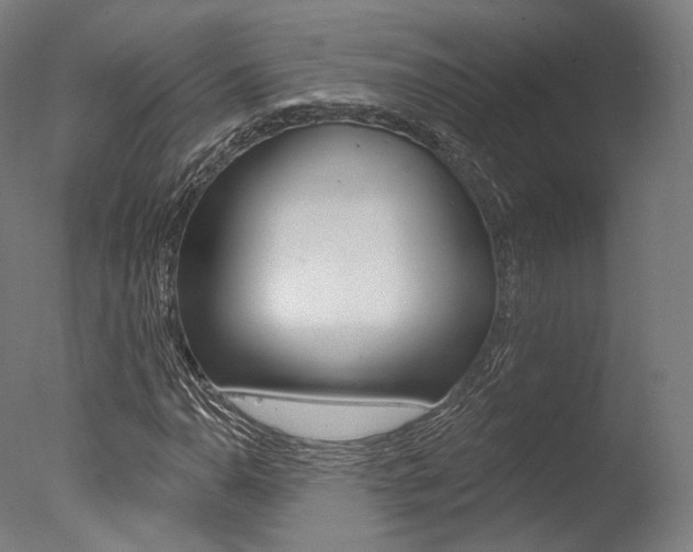 X0000077371110200610201007