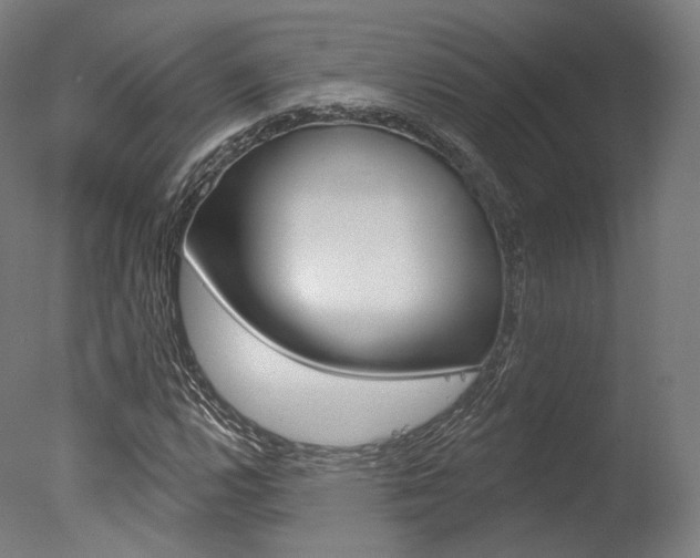 X0000077371112200610201007