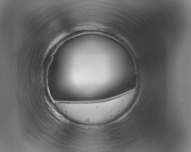 X0000077371114200610201007