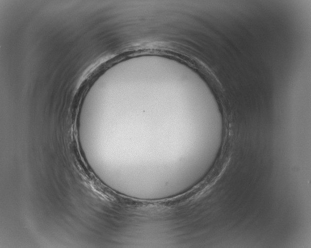 X0000077371117200610201007