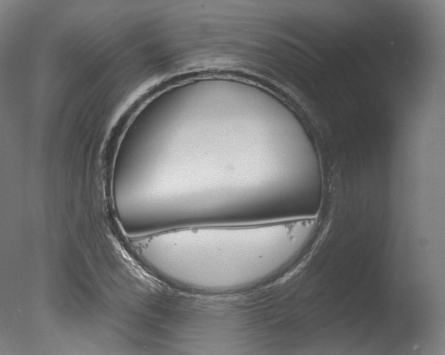 X0000077371118200610201007