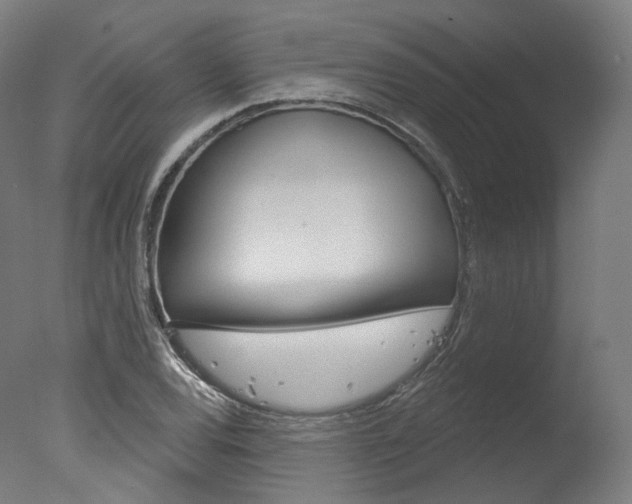 X0000077371120200610201007