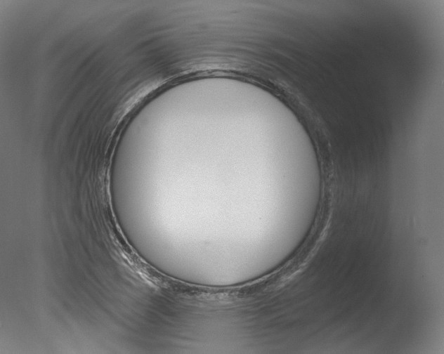 X0000077371121200610201007