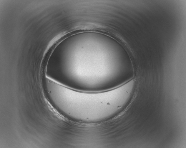 X0000077371122200610201007
