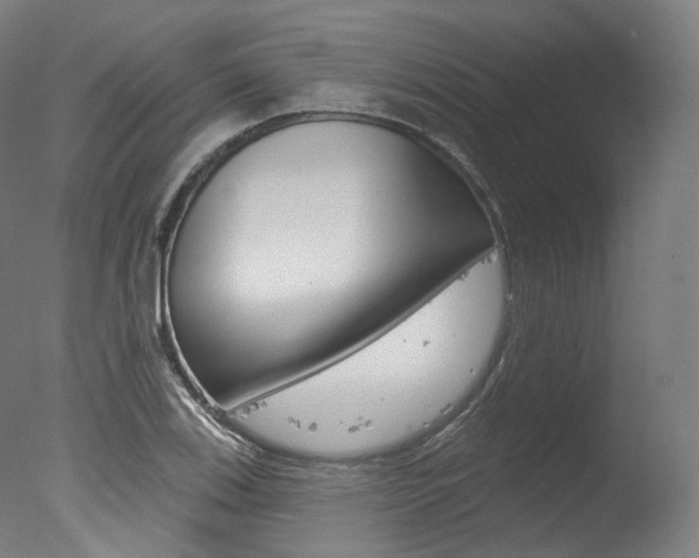 X0000077371123200610201007