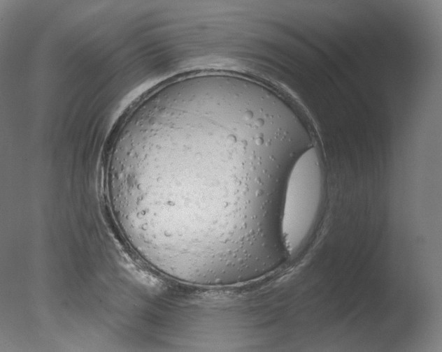 X0000077371125200610201007