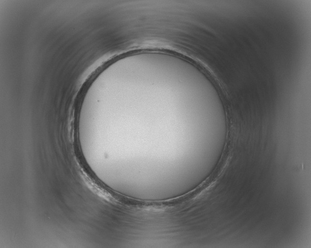 X0000077371126200610201007
