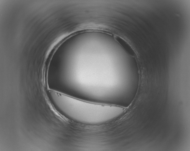 X0000077371128200610201007