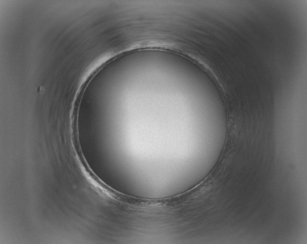 X0000077371135200610201007