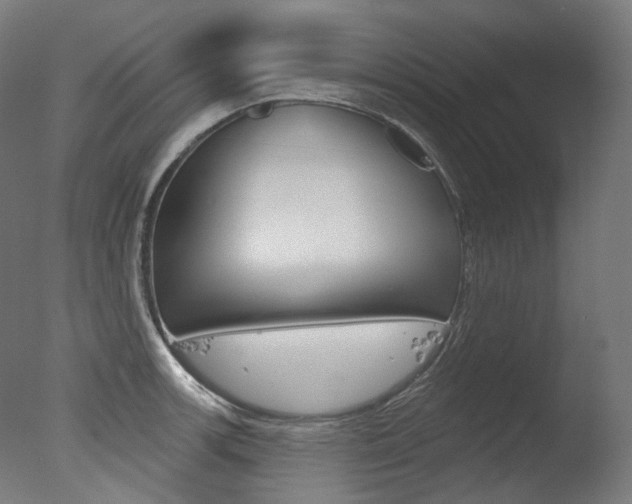 X0000077371139200610201007