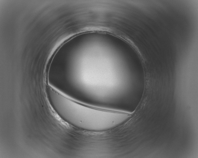 X0000077371140200610201007