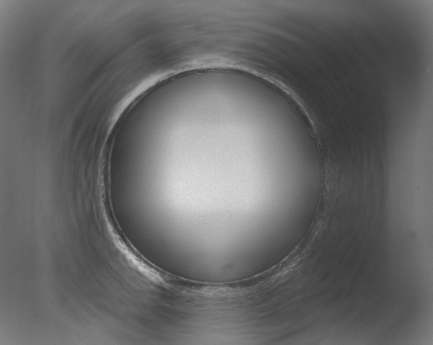 X0000077371142200610201007
