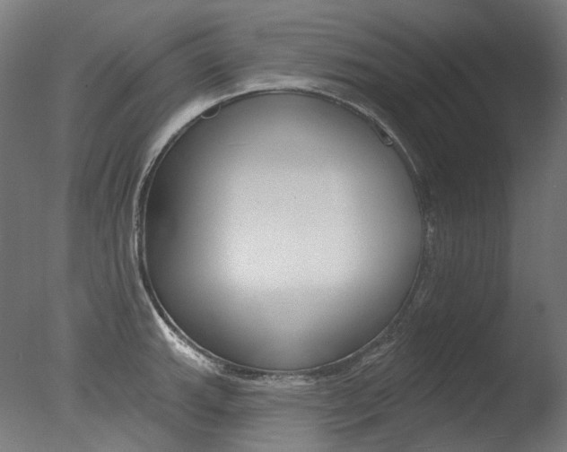 X0000077371143200610201007