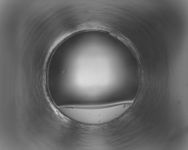 X0000077371144200610201007