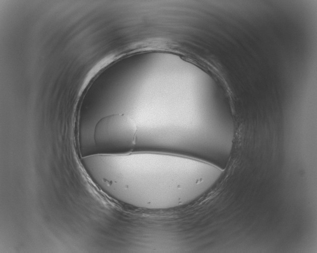 X0000077371146200610201007