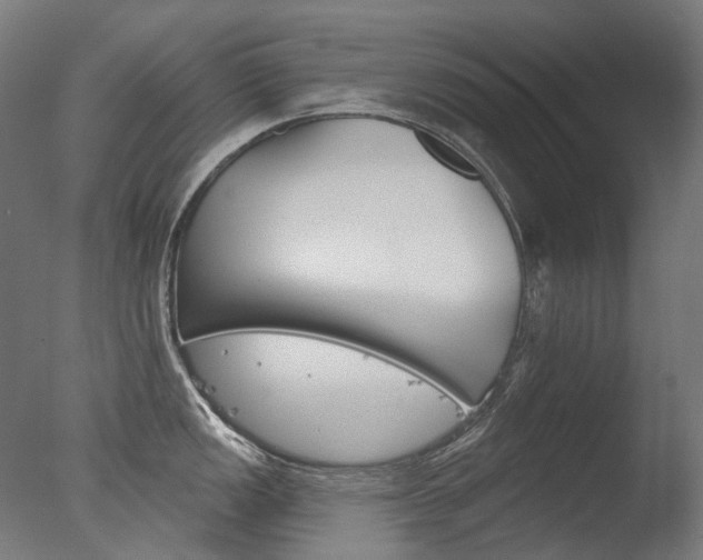 X0000077371149200610201008