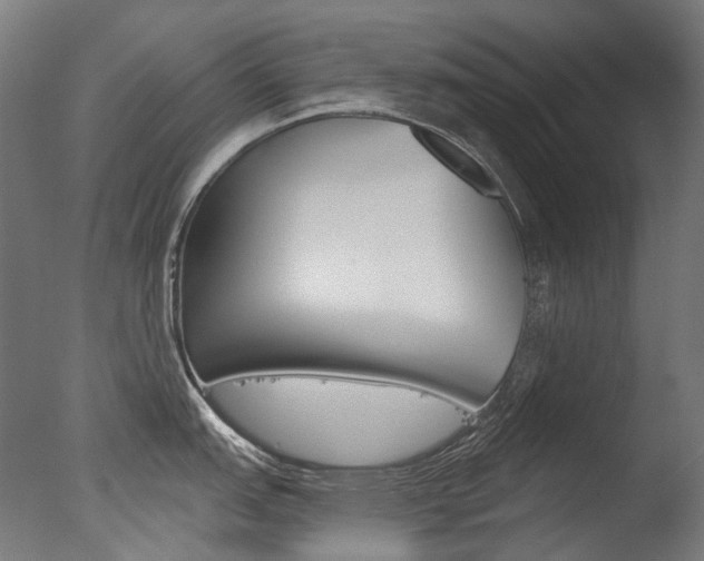 X0000077371151200610201008