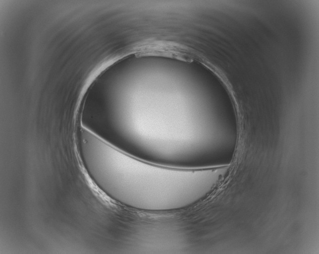 X0000077371152200610201008